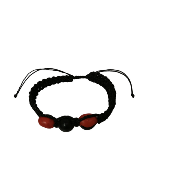 Pulsera